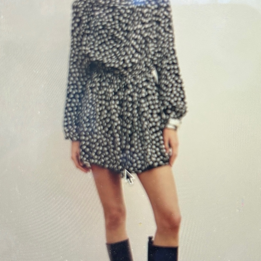 Zara Black and White Long Sleeve Dress